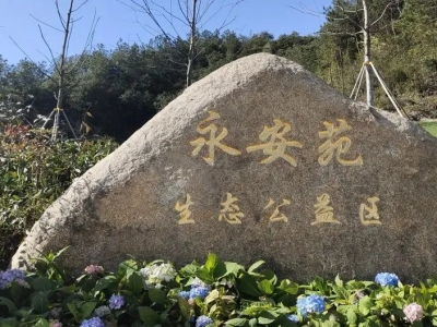 杭州临安天竹园开展“绿色殡葬惠民政策宣传”活动