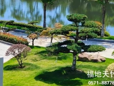 杭州生态环境绝佳的陵园|临安天竹园