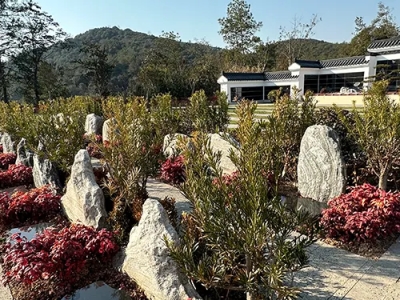 要不要为家里老人提前买墓地？