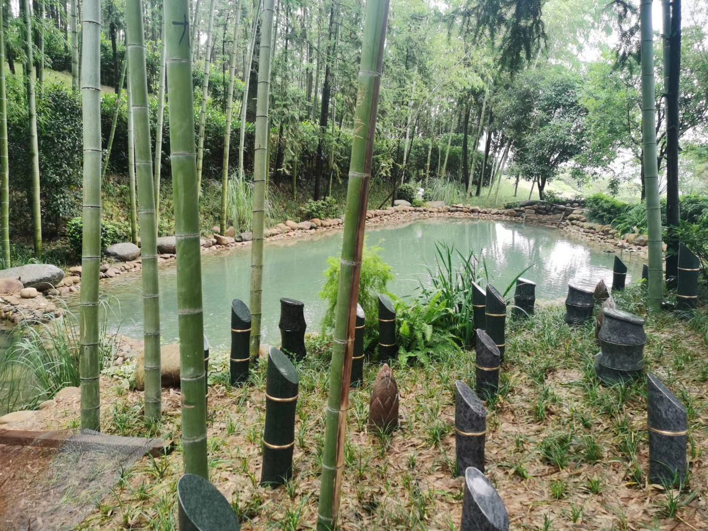 树葬-生态葬-28000