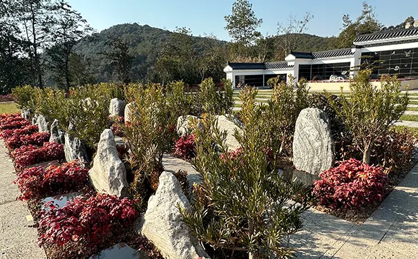 要不要为家里老人提前买墓地？