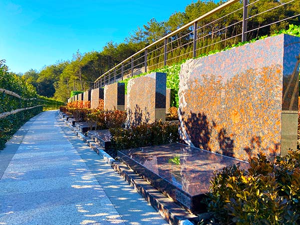 要不要为家里老人提前买墓地？