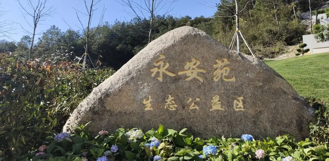 7ce3e3d3-7720-4dbc-b0f2-0f307c56b49d