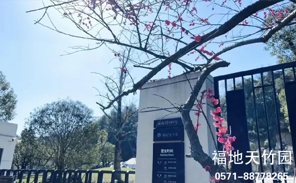 杭州临安天竹园 杭州临安天竹园