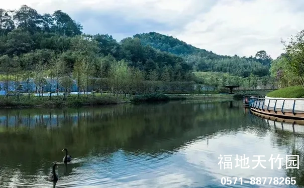 杭州临安天竹园