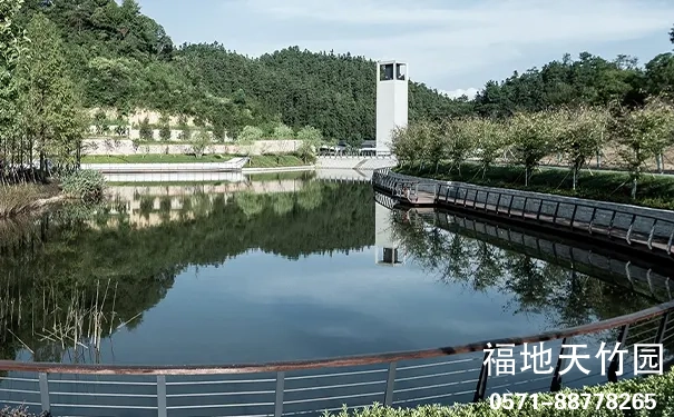 杭州临安天竹园 杭州临安天竹园