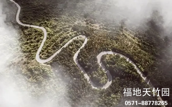 杭州临安天竹园 杭州临安天竹园