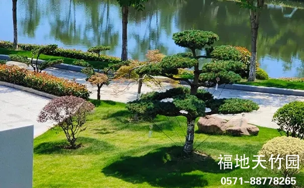 杭州临安天竹园